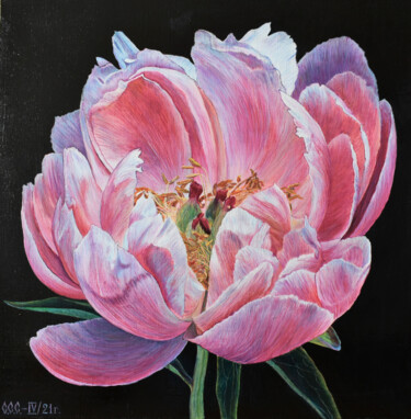 Painting titled "Peony on black" by Sergey Suslov, Original Artwork, Oil Mounted on Wood Stretcher frame