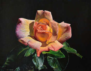 Malarstwo zatytułowany „Rose on black” autorstwa Sergey Suslov, Oryginalna praca, Olej Zamontowany na Drewniana rama noszy