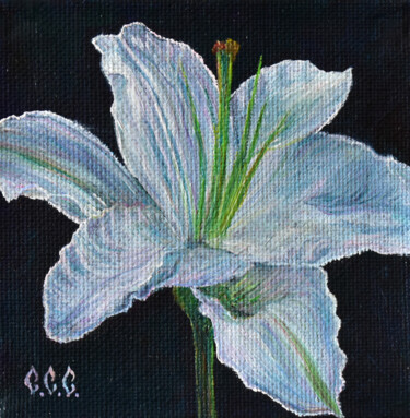 Painting titled "White lily" in a fr…" by Sergey Suslov, Original Artwork, Oil Mounted on Cardboard