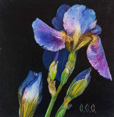 Painting titled "Irises" in a framed" by Sergey Suslov, Original Artwork, Oil Mounted on Cardboard