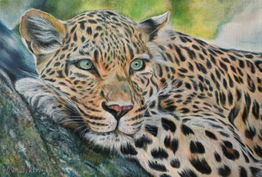 Painting titled "Leopard" by Sergey Suslov, Original Artwork, Oil
