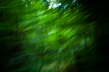 Photography titled "Floresta em movimen…" by Sergio Assis, Original Artwork, Non Manipulated Photography