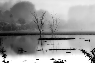 Photography titled "Neblina" by Sergio Assis, Original Artwork, Non Manipulated Photography
