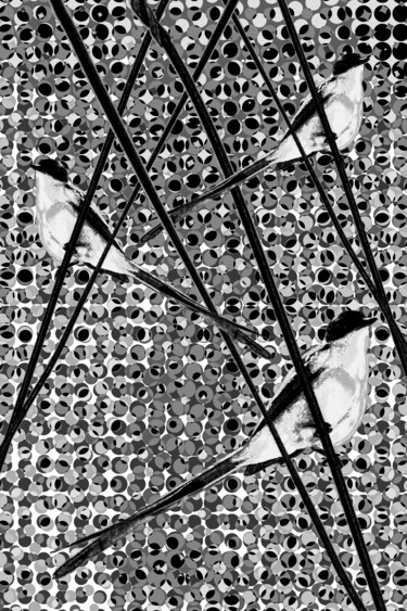 Digitale Kunst mit dem Titel "Between Lines 2" von Sergio Benetti, Original-Kunstwerk, Fotomontage