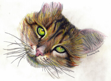 Pittura intitolato "Miao" da Sergio Lanna (Sir Joe), Opera d'arte originale, Matite colorate
