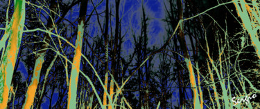 Artes digitais intitulada "Forest" por Sergio, Obras de arte originais, Pintura digital