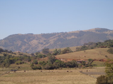 Photography titled "Interior de Minas" by Sérgio Nogueira Júnior, Original Artwork, Analog photography