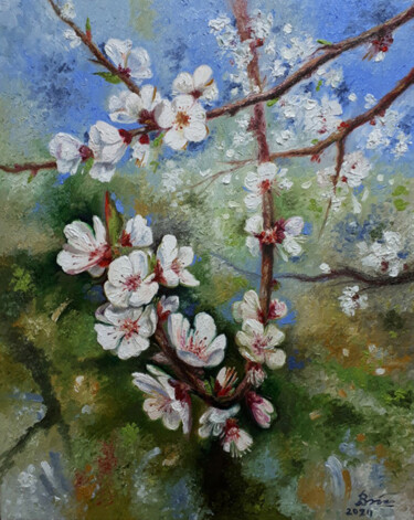 Painting titled "Blooming apricot tr…" by Serhii Voichenko, Original Artwork, Oil