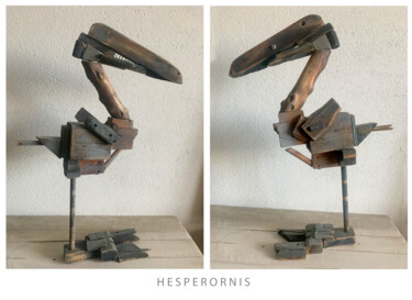 Escultura intitulada "Hesperornis" por Sergii Shkoliar, Obras de arte originais, Madeira