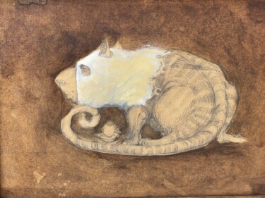 Painting titled "incognito cat 2" by Sergii Shkoliar, Original Artwork, Pencil Mounted on Cardboard