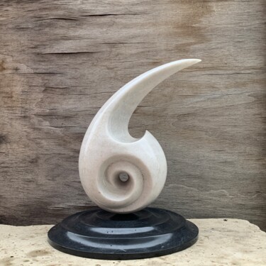 Sculpture titled "Wild drop" by Serjio Elicolani, Original Artwork, Stone