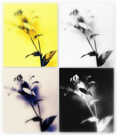 Fotografia intitolato "Fleur de Lys." da Stephan Serris, Opera d'arte originale, Fotografia digitale