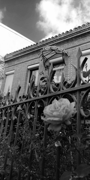 Photographie intitulée "La Rose Au Chapeau…" par Stephan Serris, Œuvre d'art originale, Photographie numérique