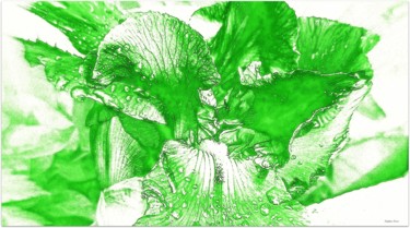 Photographie intitulée "Vert d'Iris ." par Stephan Serris, Œuvre d'art originale, Photographie numérique