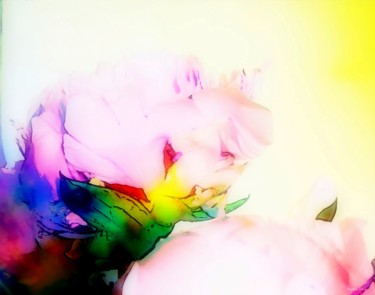 Photography titled "Pivoine Coloré" by Stephan Serris, Original Artwork, Manipulated Photography