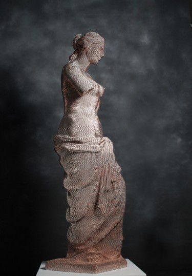 Скульптура под названием "Venus de Milo" - Seungwoo Kim, Подлинное произведение искусства, Нержавеющая сталь