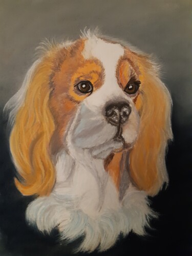 Schilderij getiteld "Cavalier King Charl…" door Severine Delanoue, Origineel Kunstwerk, Pastel