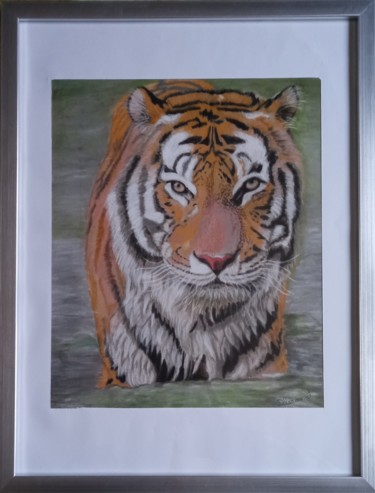 Peinture intitulée "Le tigre entrain de…" par Severine Delanoue, Œuvre d'art originale, Pastel