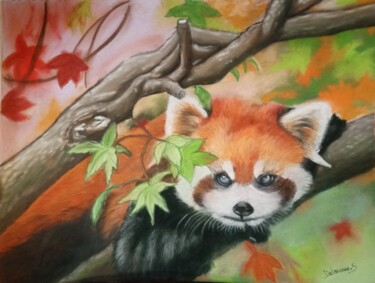 Painting titled "le panda roux" by Severine Delanoue, Original Artwork, Pastel