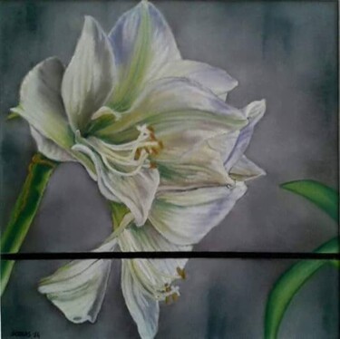 Malerei mit dem Titel "Amaryllis blanc" von Severine Soulas, Original-Kunstwerk, Pastell
