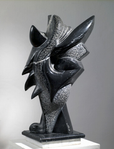 Skulptur mit dem Titel "PREHISTORIC BIRD" von Severino Braccialarghe, Original-Kunstwerk, Stein
