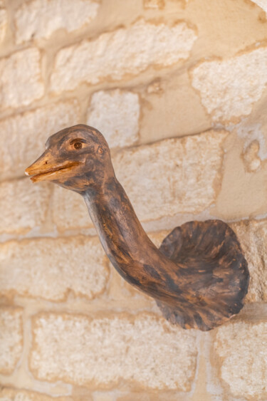 Skulptur mit dem Titel "Autruche murale" von Seys Sculpture, Original-Kunstwerk, Terra cotta Auf Metall montiert