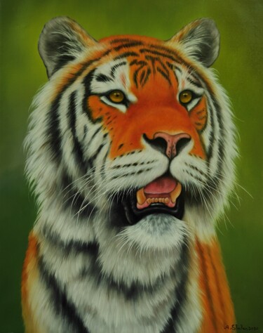 Painting titled "Tiger" by Shahen Aleksandryan, Original Artwork, Oil Mounted on Wood Stretcher frame