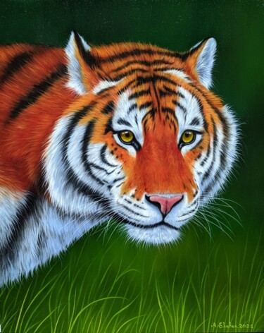 Painting titled "Tiger portrait" by Shahen Aleksandryan, Original Artwork, Oil