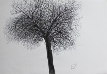 Drawing titled "Winter Tree # 2" by Shahriar Aghakhani, Original Artwork, Ink