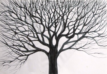 Drawing titled "Tree No. 1" by Shahriar Aghakhani, Original Artwork, Ink