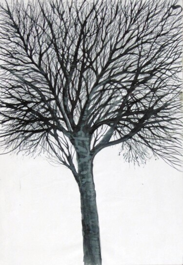 Drawing titled "Winter tree No. 9" by Shahriar Aghakhani, Original Artwork, Ink