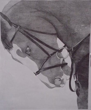 「Hunter/Jumper heads…」というタイトルの描画 Shannon Youngによって, オリジナルのアートワーク
