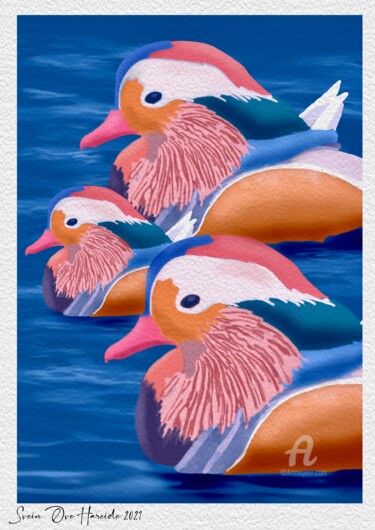 Digital Arts titled "The mandarin goose" by Svein Ove Hareide, Original Artwork, Digital Painting