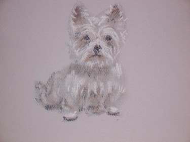 Painting titled "WHITE PUPPY" by Sharon Paddock, Original Artwork, Oil