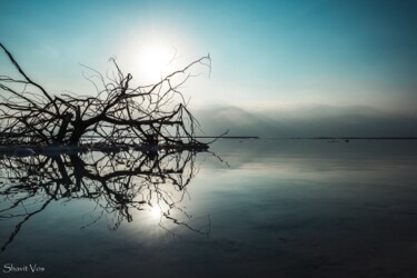 Fotografia zatytułowany „Reflection at the D…” autorstwa Shavit Vos, Oryginalna praca, Fotografia cyfrowa