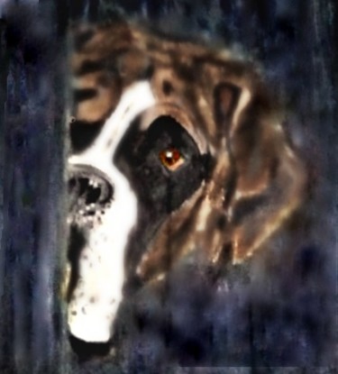 Painting titled "Boxer" by Shawnlee Scheepers, Original Artwork, Acrylic