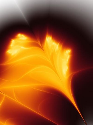 Digital Arts titled "Flaming Flower II" by Susan Graves, Original Artwork