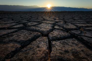 Fotografia intitolato "Scorched Earth" da Shimon Rottenberg, Opera d'arte originale, Fotografia digitale