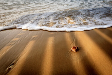 Fotografia zatytułowany „Lonely Beach” autorstwa Shimon Rottenberg, Oryginalna praca, Fotografia cyfrowa