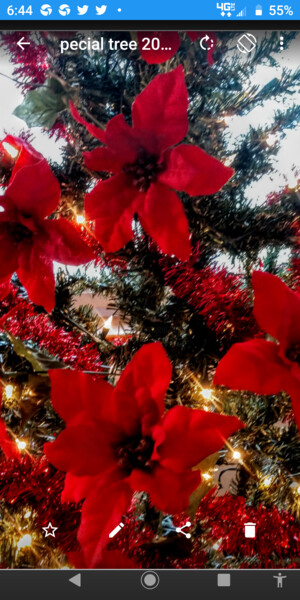 Fotografia intitolato "Christmas tinsel" da Shirley Jacobsen, Opera d'arte originale, Fotografia non manipolata