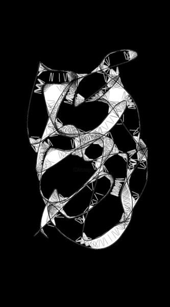 绘画 标题为“Chantilly lace” 由Shirley Jacobsen, 原创艺术品, 数字油画