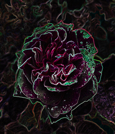 Photography titled "Neon Rose" by Shiro Lilium Art, Original Artwork, Digital Photography