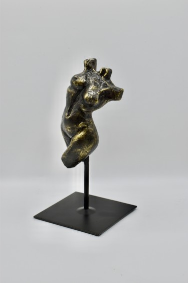 Sculpture intitulée "Female Torso" par Shlomit Saar Cohen, Œuvre d'art originale, Bronze