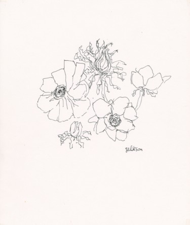 Drawing titled "E23 Coquelicots" by Amos Zelikson, Original Artwork, Ink