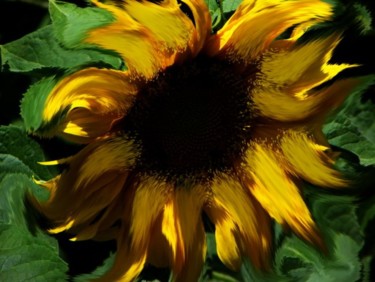 Arts numériques intitulée "Sunflower" par Shmuel Ben Hagai, Œuvre d'art originale