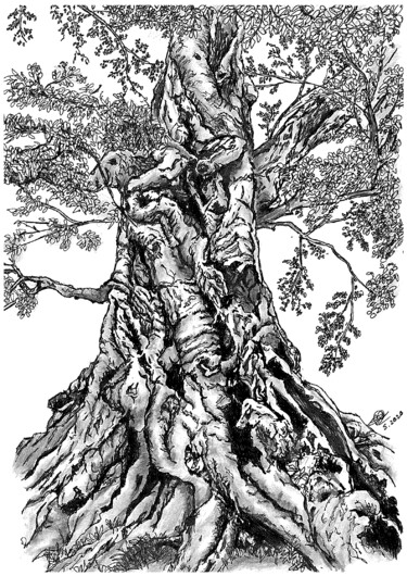 Drawing titled "Tree" by Shorove, Original Artwork, Gel pen
