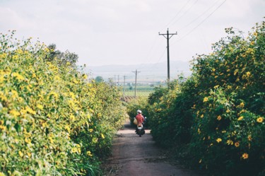 Photography titled "Flower road" by Duc Thanh (Shu'S), Original Artwork, Analog photography