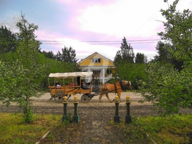 Photography titled "Horse n Buggy" by Stace & Amanda Pshyk, Original Artwork