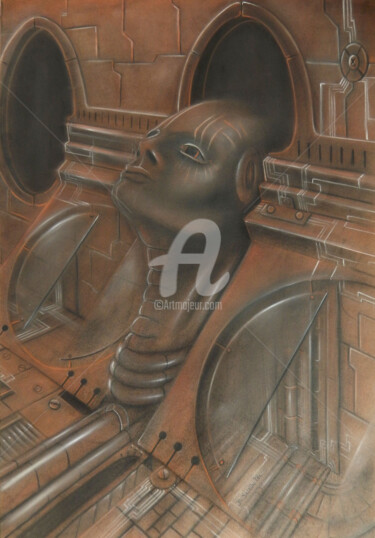 「anthropoide-2-42x61…」というタイトルの描画 Siger Bzhによって, オリジナルのアートワーク, パステル