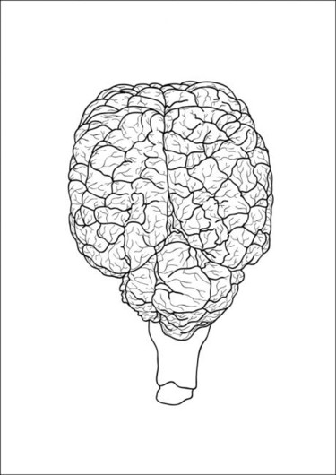Digital Arts titled "Brain" by Mr T Silappathikaram, Original Artwork